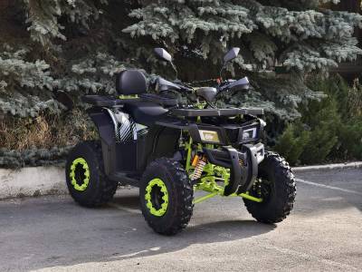 Квадроцикл R - MOTO (Р - Мото) Lion 200 X черный (машинокомплект)