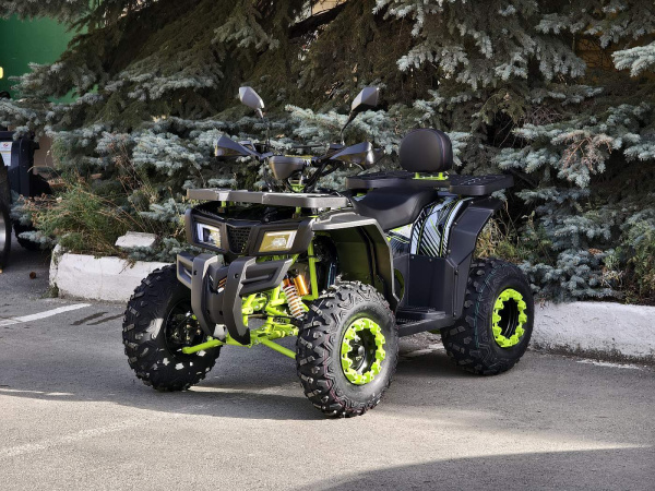 Квадроцикл R - MOTO (Р - Мото) Lion 200 X черный (машинокомплект) | Мототека